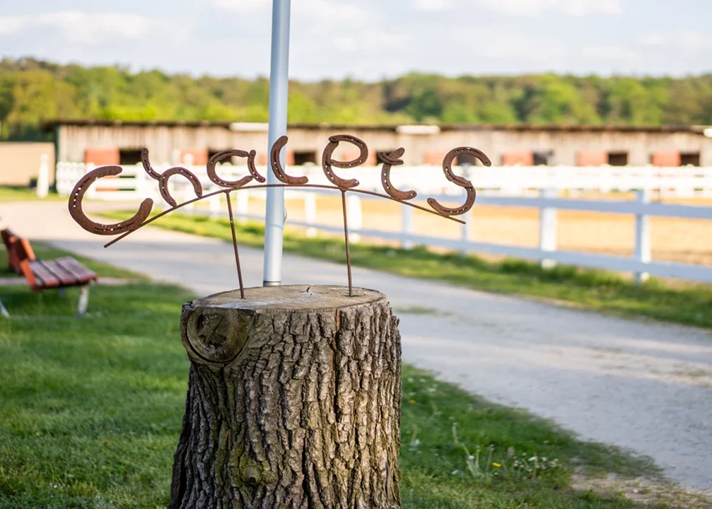 Chalet Schild aus Hufeisen