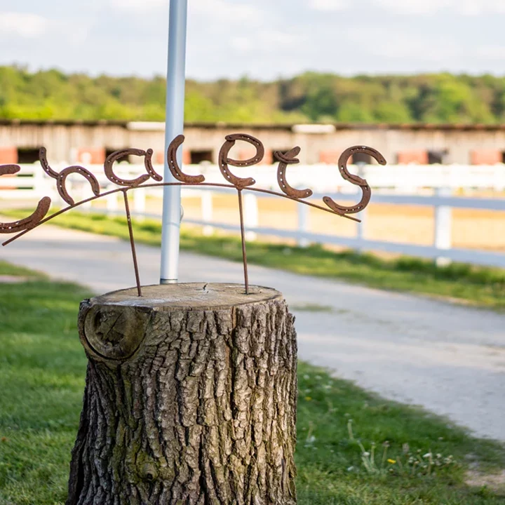 Chalet Schild aus Hufeisen