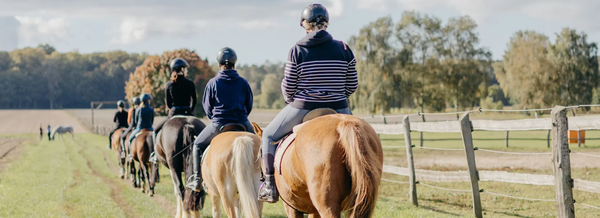 Reiten für Erwachsene Wiedereinsteiger