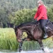 Durchs Wasser reiten