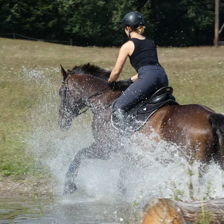 Galopp durchs kühle Nass