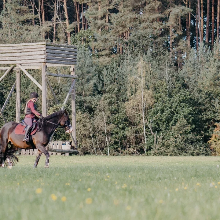 Geländereiten sicher auf dem Platz üben