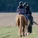 Reiten in der Gruppe