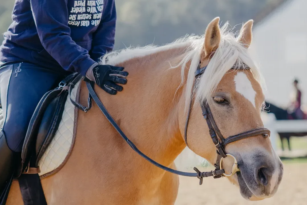 Sitztraining bei Silke