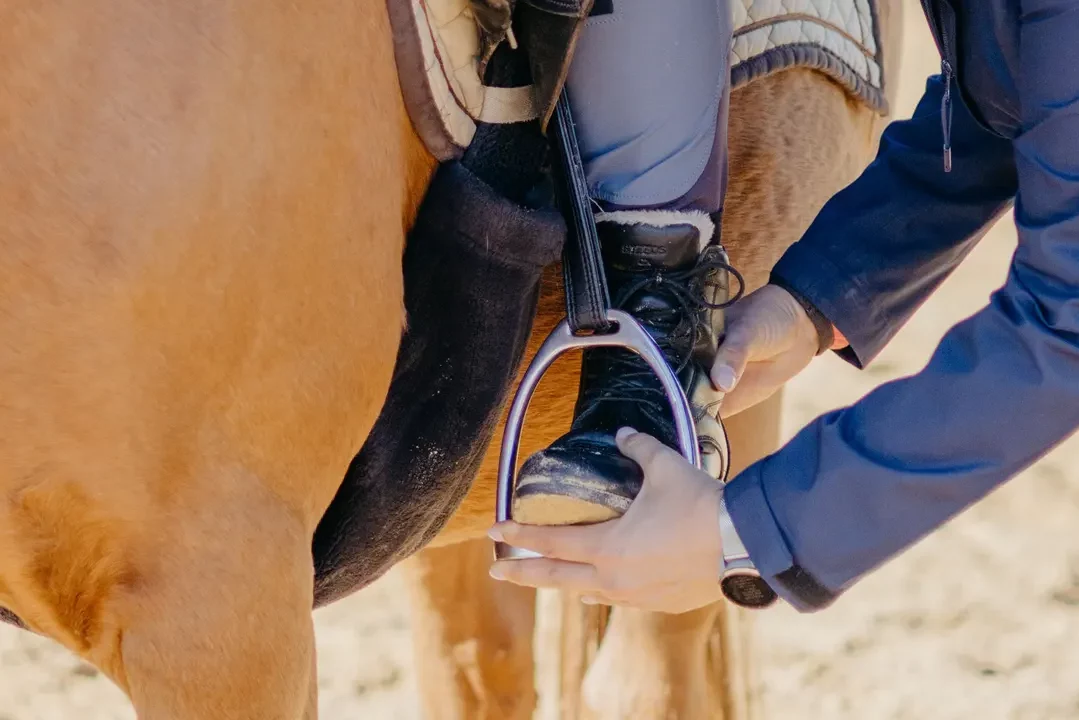 Sitztraining bei Silke Pliefke